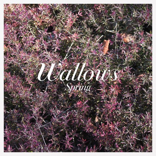 Wallows: Spring