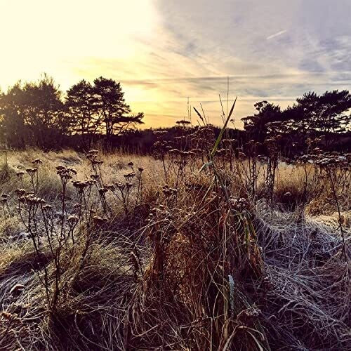 Ane Brun: Leave Me Breathless