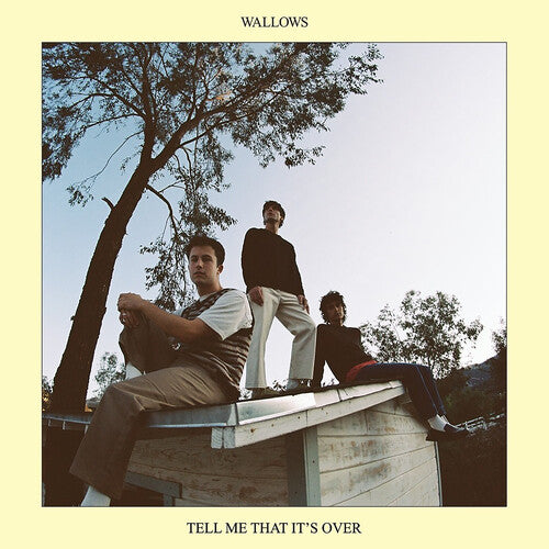 Wallows: Tell Me That It's Over