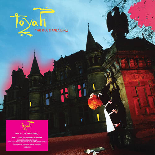 Toyah: Blue Meaning - Black Vinyl Edition