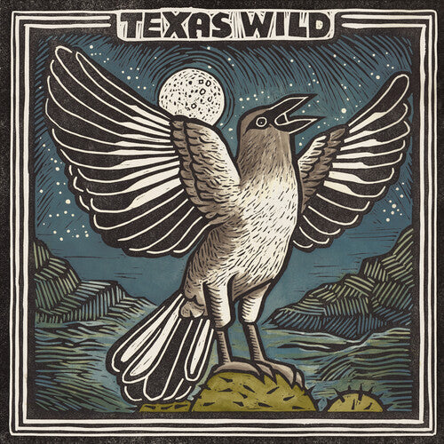 Various Artists: Texas Wild (Various Artists)