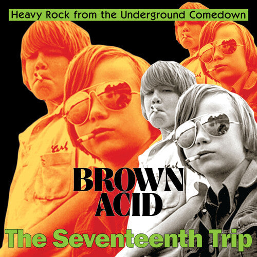 Various Artists: Brown Acid - The Seventeenth Trip (Various Artists)